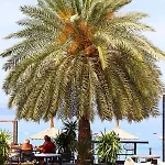 Hotel Moyo Luxury &