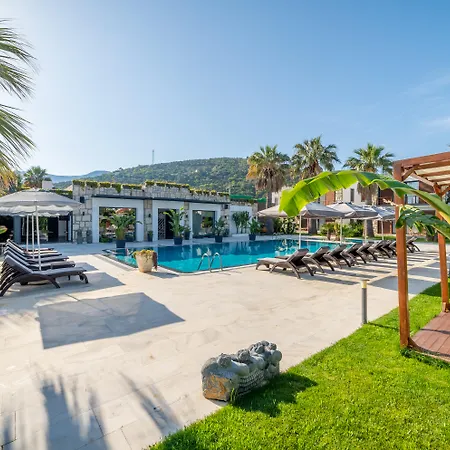 Moyo Luxury & 3*