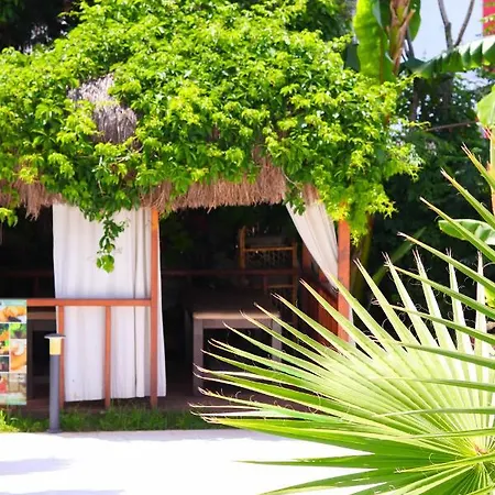 Moyo Luxury &