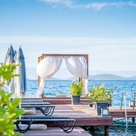 Moyo Luxury & 3*