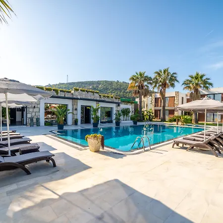 Hotel Moyo Luxury &
