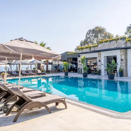 Moyo Luxury & Bodrum