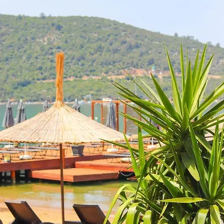 Moyo Luxury & فندق