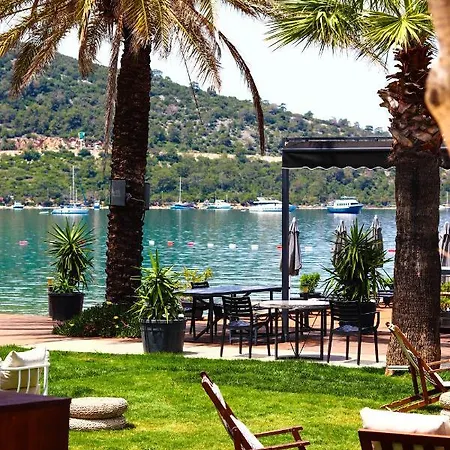 فندق Moyo Luxury &