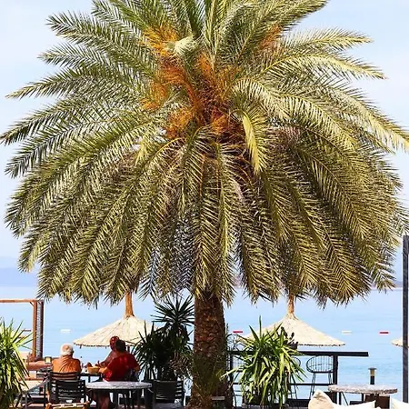 فندق Moyo Luxury &