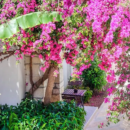 Hotel Moyo Luxury &