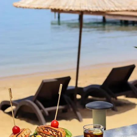 Hotel Moyo Luxury &
