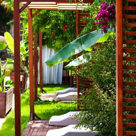 Moyo Luxury & بودروم