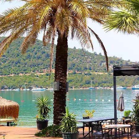 Moyo Luxury & Bodrum