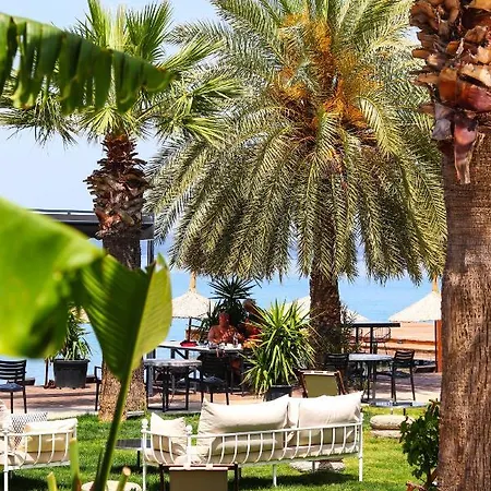 Moyo Luxury & Bodrum