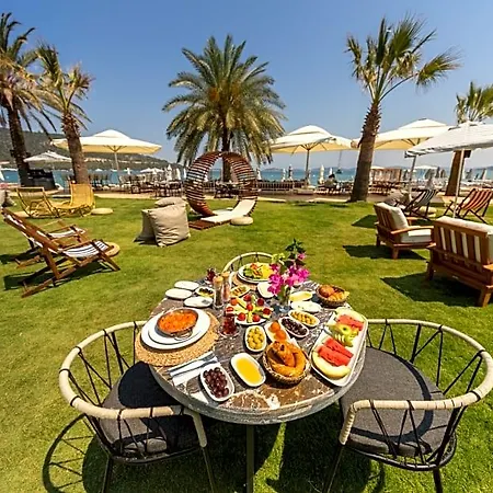 Moyo Luxury &