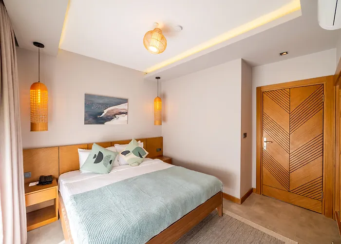 Moyo Luxury & Hotel