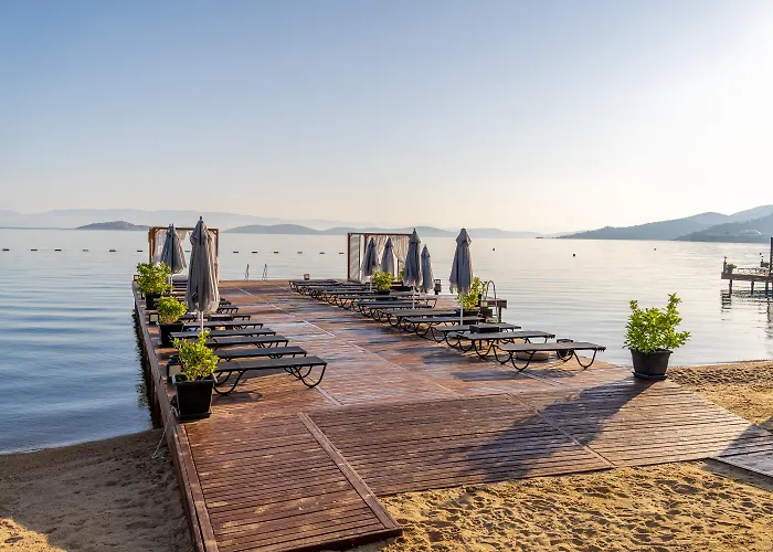 Hotel Moyo Luxury &