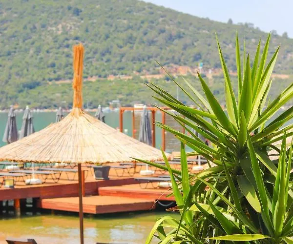 Moyo Luxury & Hotel