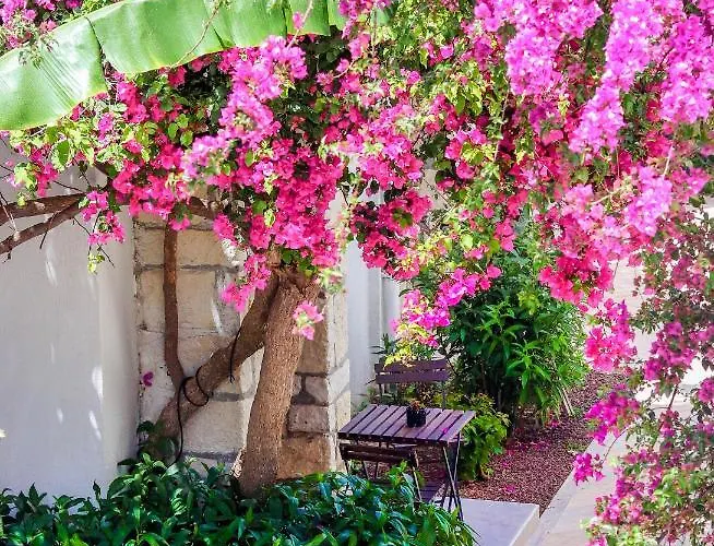 Hotel Moyo Luxury &