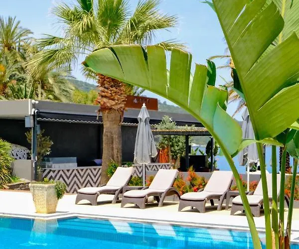 Hotel Moyo Luxury & 3*