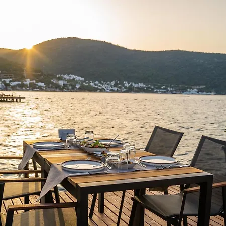 מלון Moyo Luxury & 3*