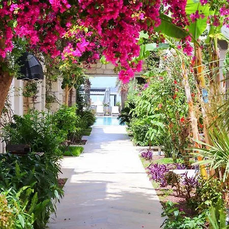 Moyo Luxury & 3* בודרום