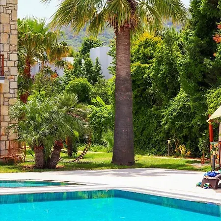 Moyo Luxury & Hotel 3*